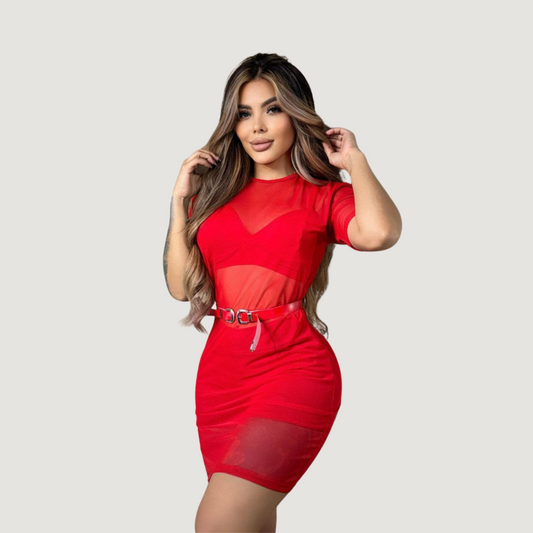 Mesh Mini Dress Set